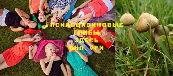 твердый Армянск