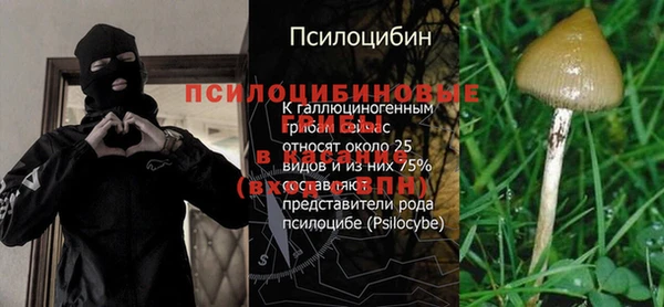 винт Арсеньев