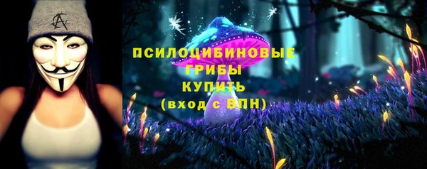 винт Арсеньев