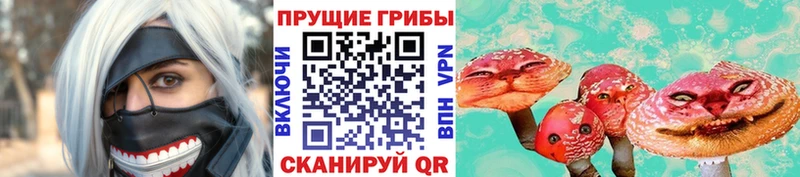 Псилоцибиновые грибы Psilocybine cubensis  где продают наркотики  Новоалександровск 